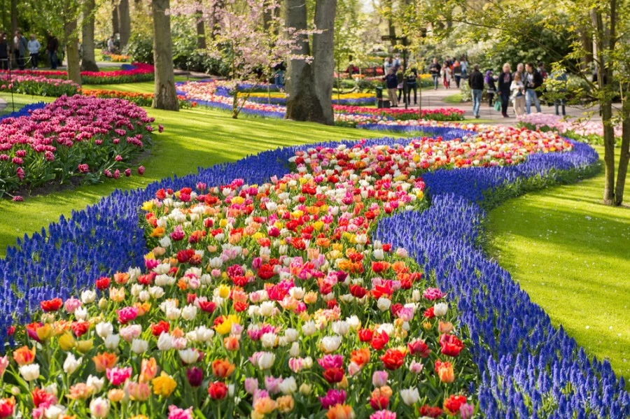 Excursion d'une journée à Keukenhof