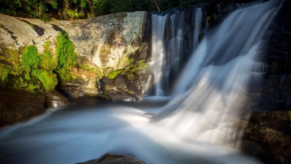 Le Parc National d’Udzungwa