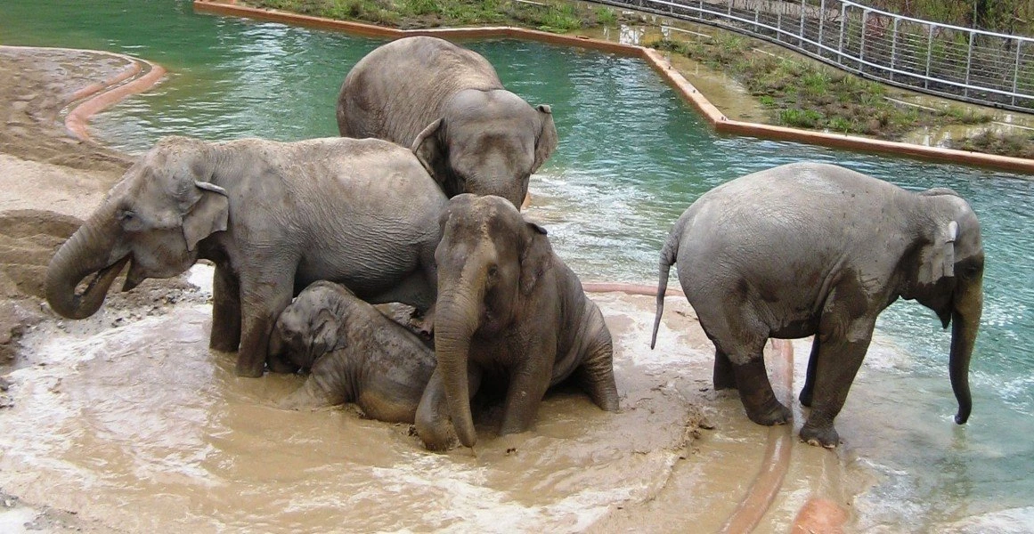Copenhagen Zoo