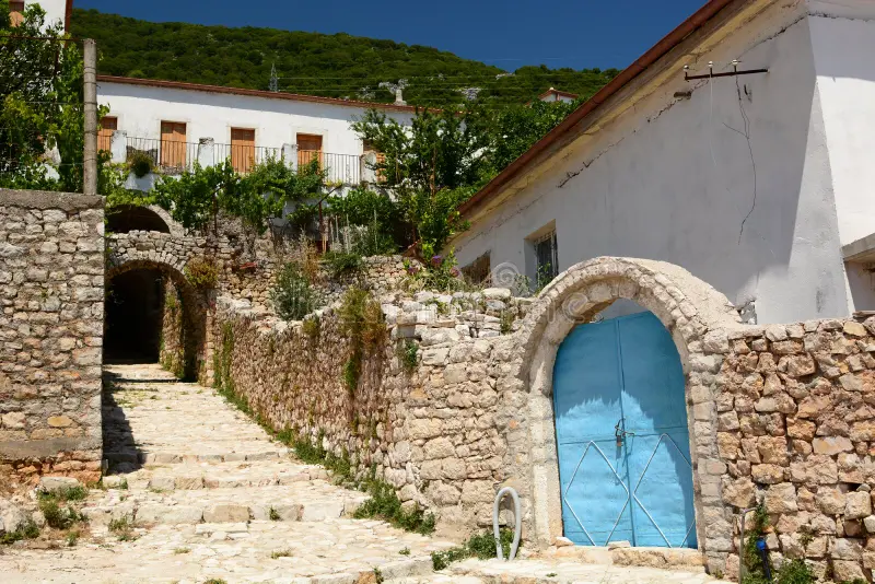 Vuno