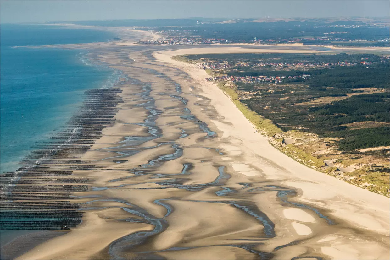 Les dunes et marais de la baie